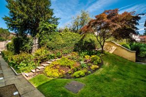 Photo 10- click for photo gallery